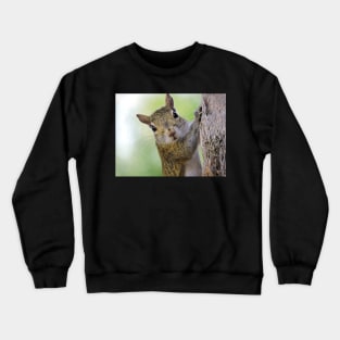 Staring Contest with a Squirrel Crewneck Sweatshirt